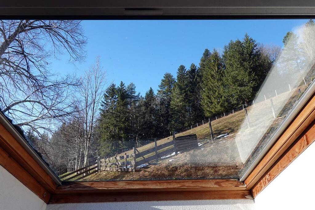 Appartement Dans Vielle Ferme Au Coeur Des Vosges Plainfaing Exterior photo
