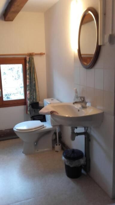 Appartement Dans Vielle Ferme Au Coeur Des Vosges Plainfaing Exterior photo